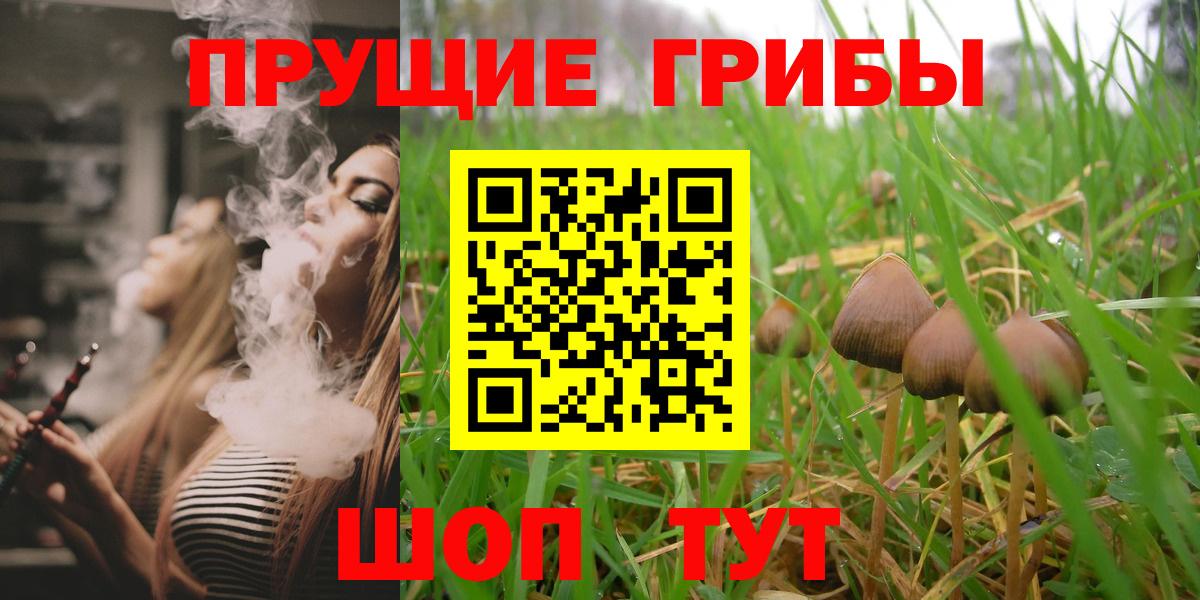 Галлюциногенные грибы Psilocybe Ногинск