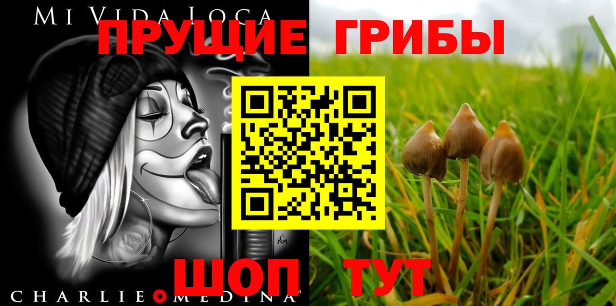 Галлюциногенные грибы мухоморы  Галлюциногенные грибы Cubensis  Вход с VPN  Ногинск 